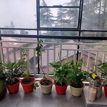 Tree Valley Homestay Чейл Екстер'єр фото