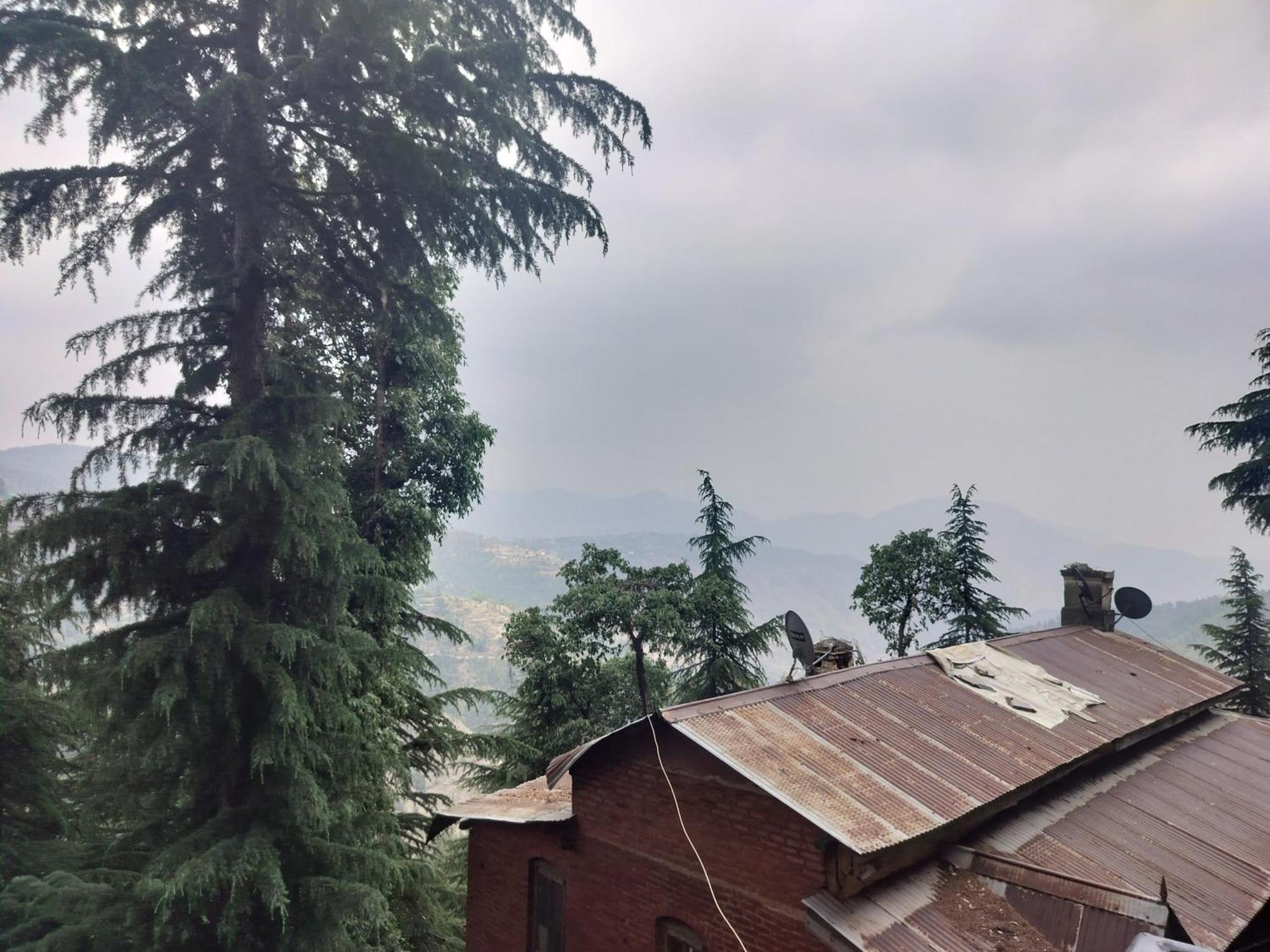 Tree Valley Homestay Чейл Екстер'єр фото