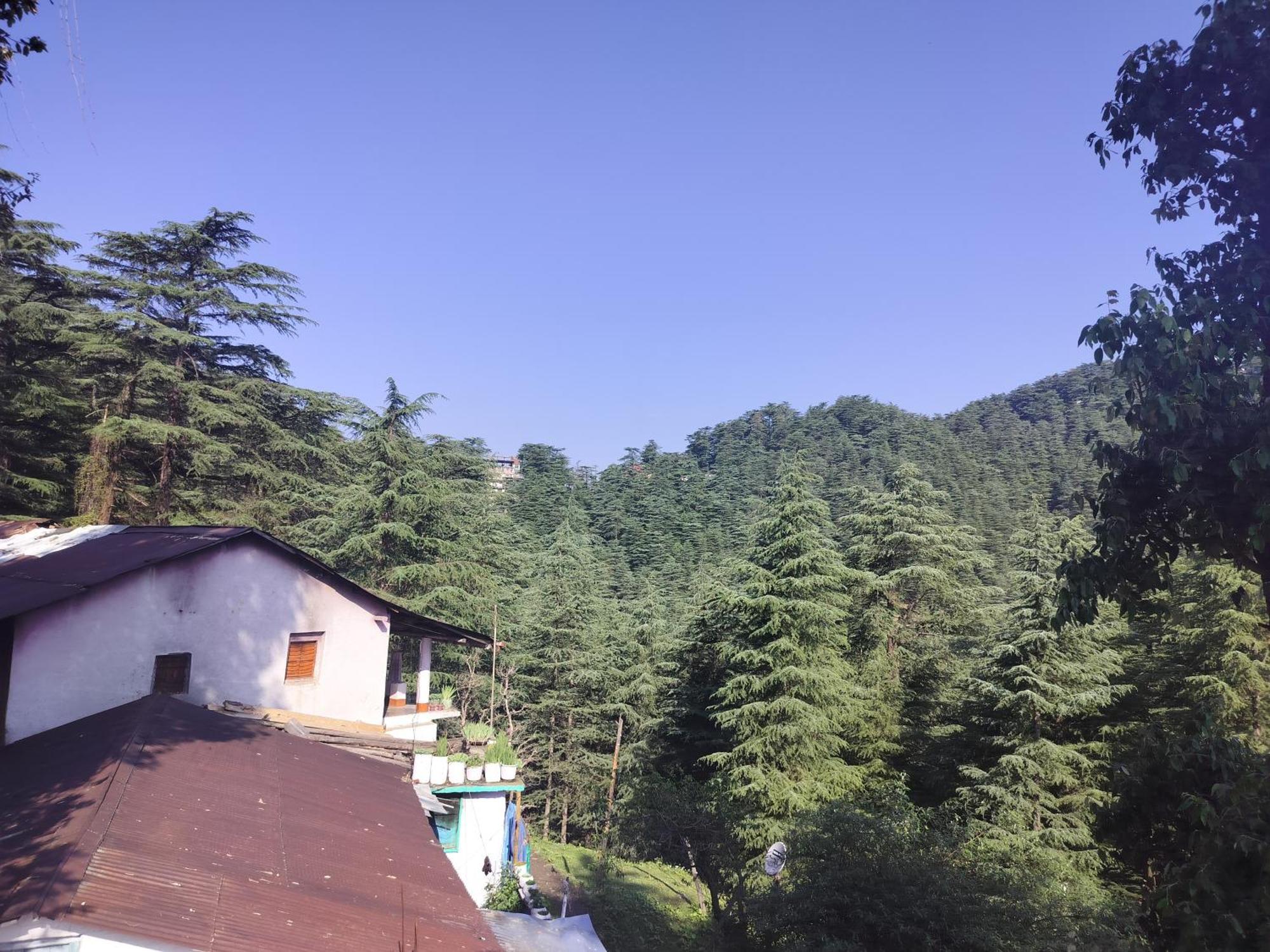Tree Valley Homestay Чейл Екстер'єр фото