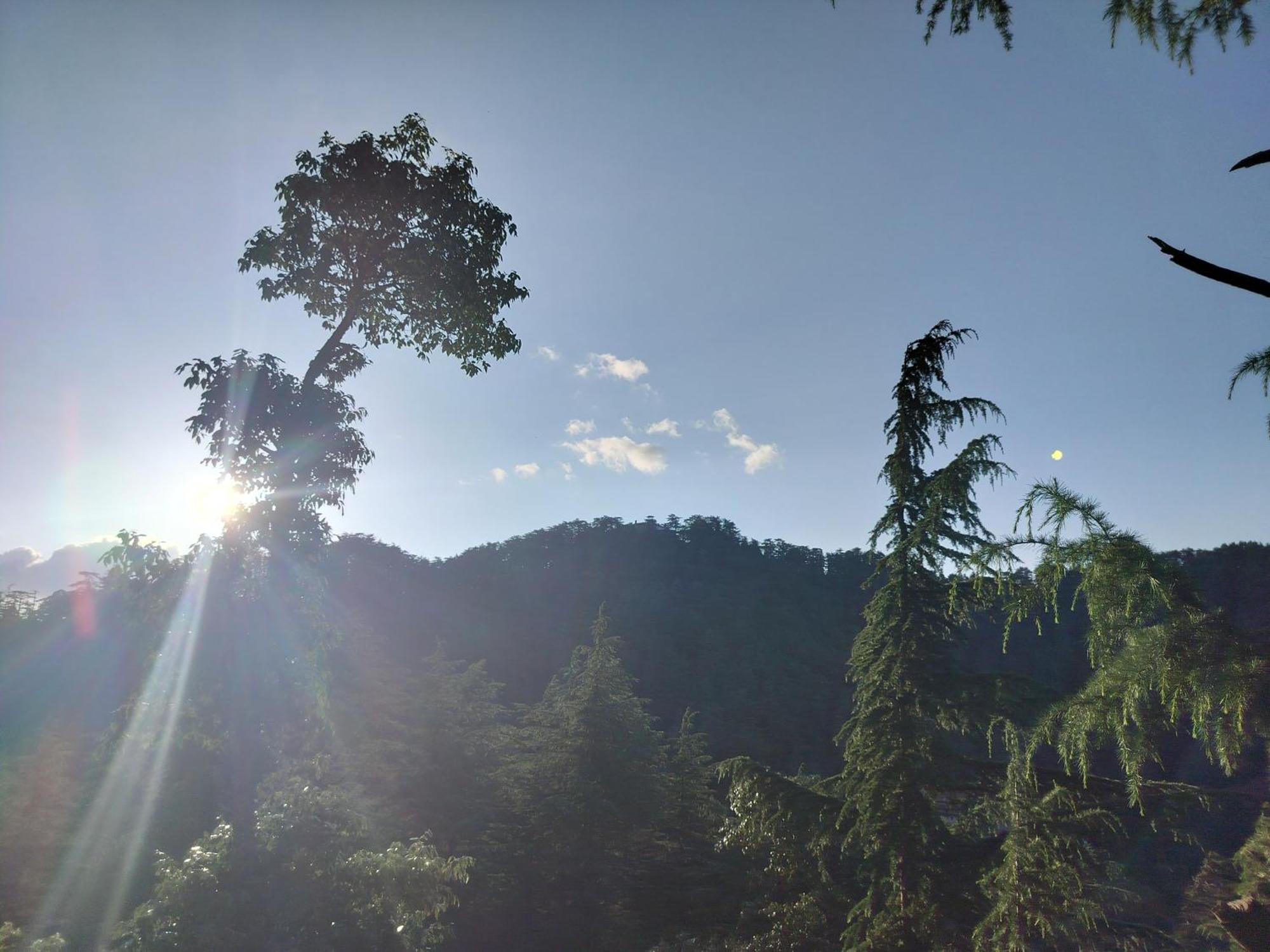 Tree Valley Homestay Чейл Екстер'єр фото