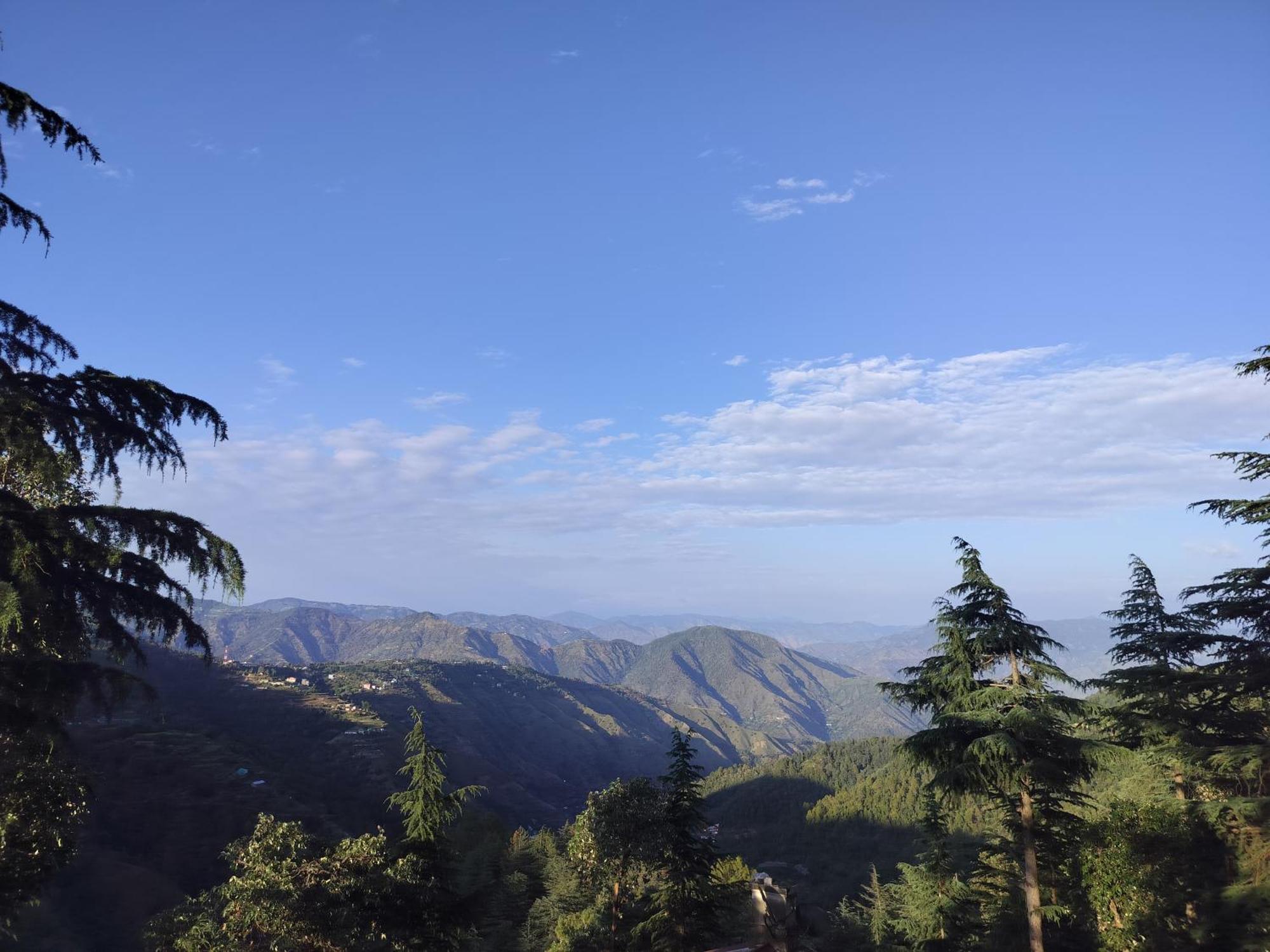 Tree Valley Homestay Чейл Екстер'єр фото