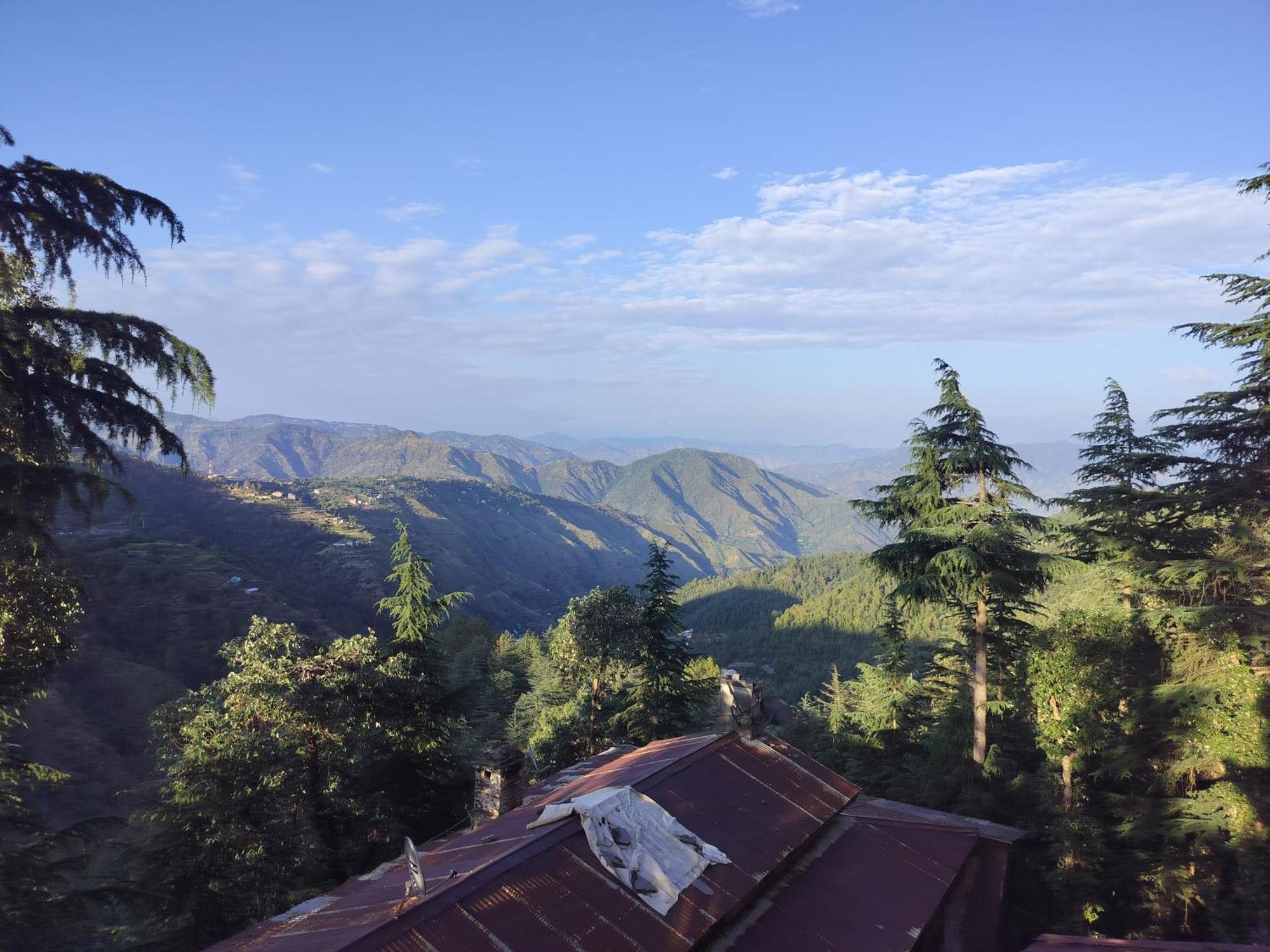 Tree Valley Homestay Чейл Екстер'єр фото